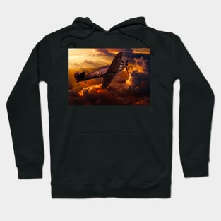 In for the kill Hoodie